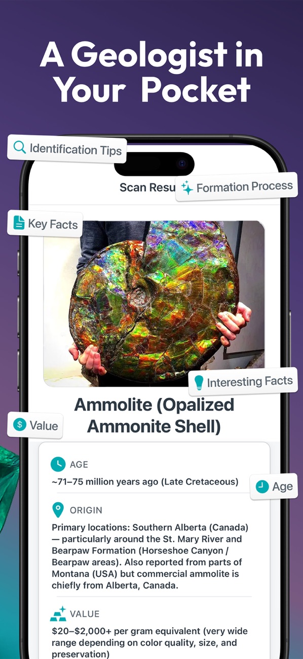 iPhone App Store screenshot showing an ammolite identification and geological information